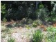 Lot 20 Martins Creek Road, Buderim QLD 4556