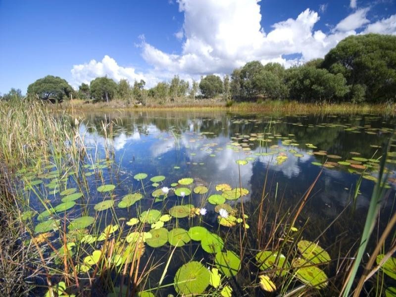 14 Rutherford Place, Pelican Waters QLD 4551