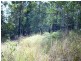 LOT 18 Sam White Drive, Buderim QLD 4556