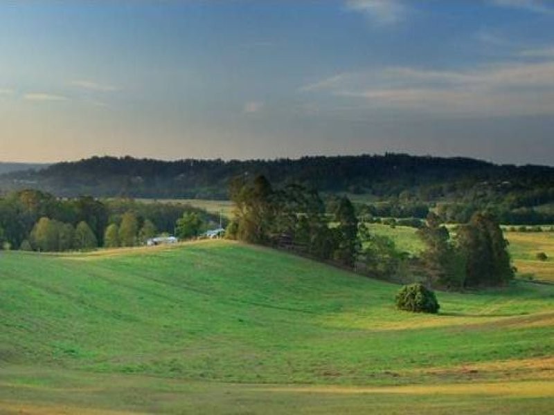 238 Diddillibah Road, Woombye QLD 4559