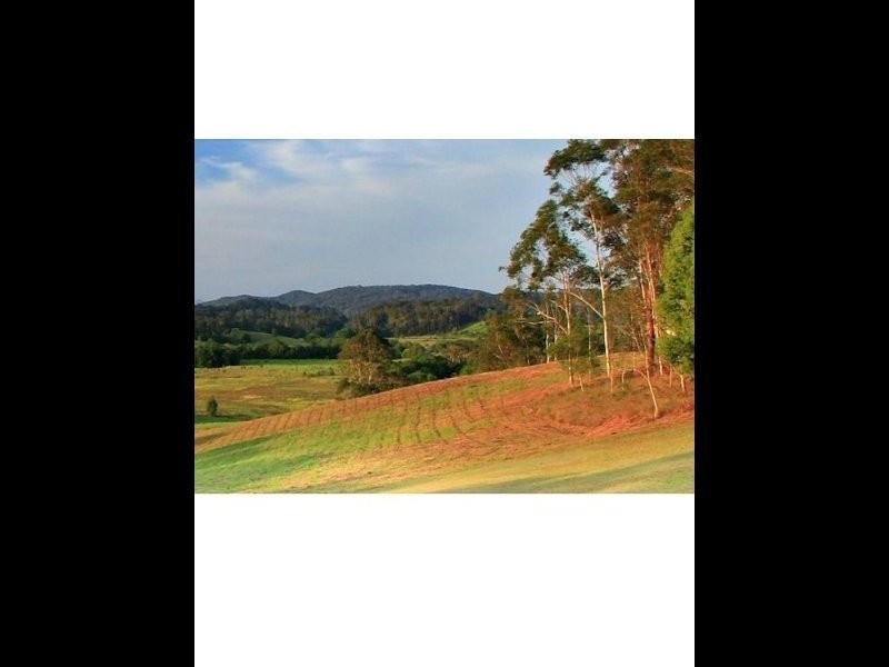 238 Diddillibah Road, Woombye QLD 4559
