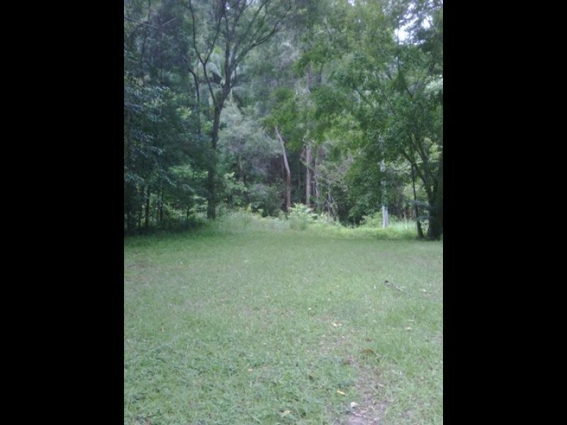 378 Diddillibah Road, Diddillibah QLD 4559