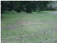 378 Diddillibah Road, Diddillibah QLD 4559