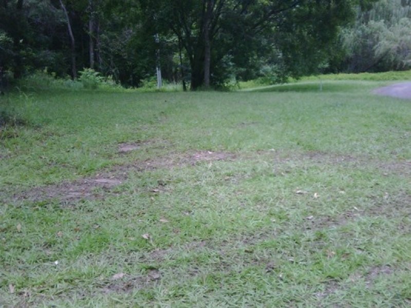 378 Diddillibah Road, Diddillibah QLD 4559