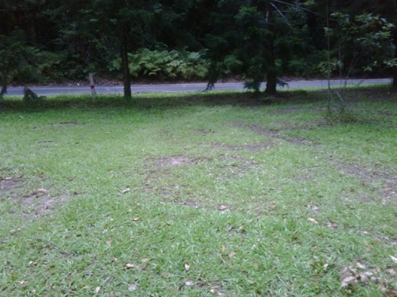 378 Diddillibah Road, Diddillibah QLD 4559