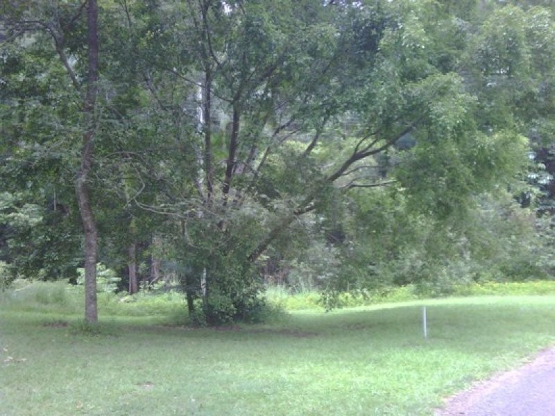 378 Diddillibah Road, Diddillibah QLD 4559