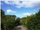 34B Nyes Crescent, Buderim QLD 4556