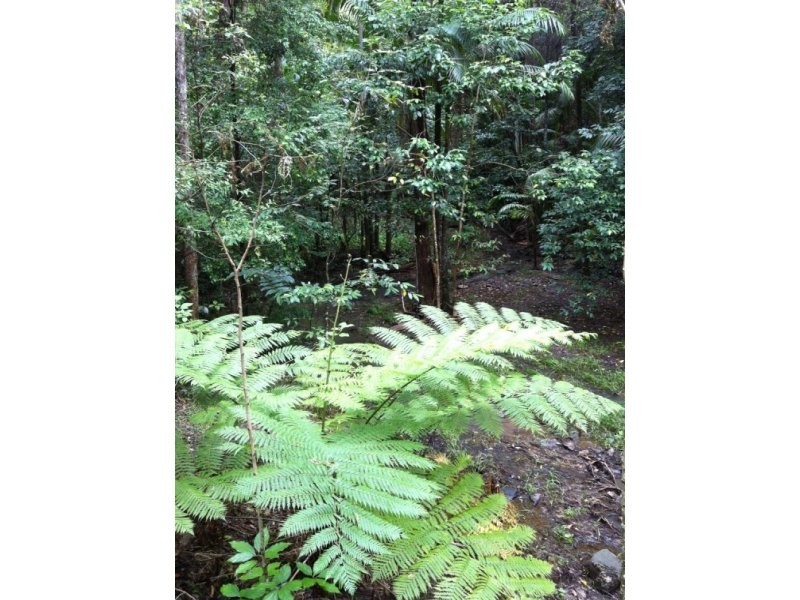 46 Toulambi Drive, Buderim QLD 4556