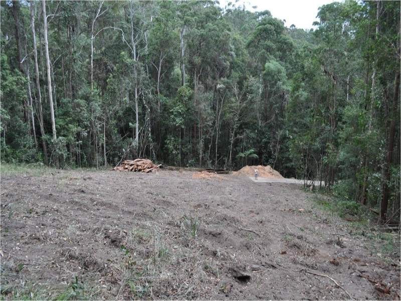 46 Toulambi Drive, Buderim QLD 4556
