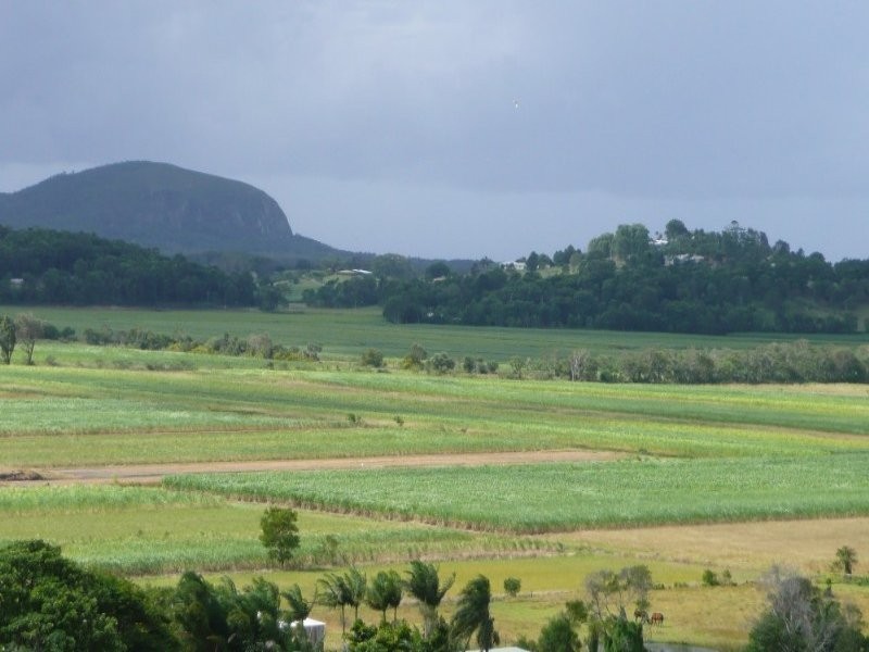 5 Willis Road, Bli Bli QLD 4560