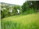 5 Willis Road, Bli Bli QLD 4560