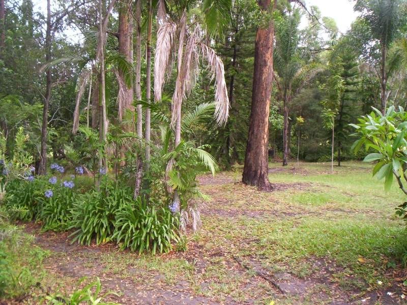 39 Cunning Road, Tanawha QLD 4556