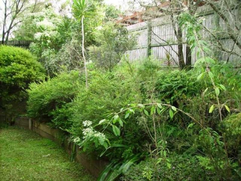 1 Lotus Place, Bli Bli QLD 4560