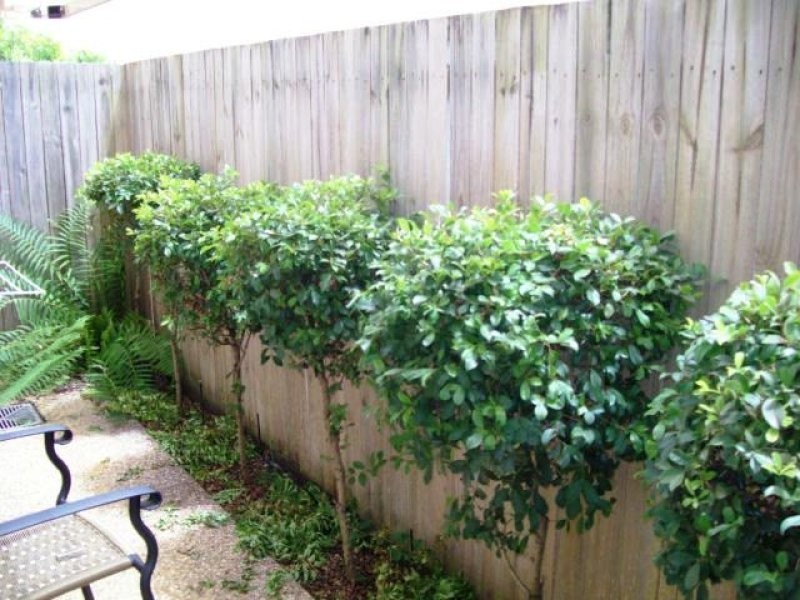 3/23 Baden Powell Street, Maroochydore QLD 4558