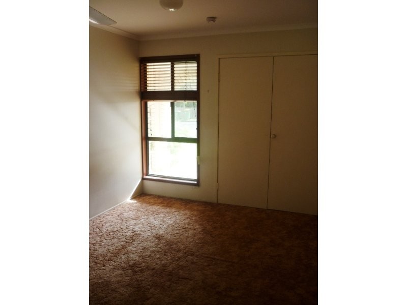 19 Iluka Avenue, Buddina QLD 4575