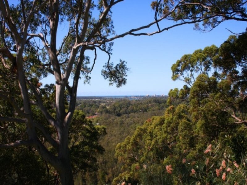 395 Upper Rosemount Road, Rosemount QLD 4560