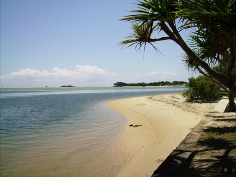 61 Millwell Road, Maroochydore QLD 4558
