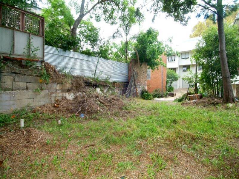 1 Sparkes Lane, Camperdown NSW 2050