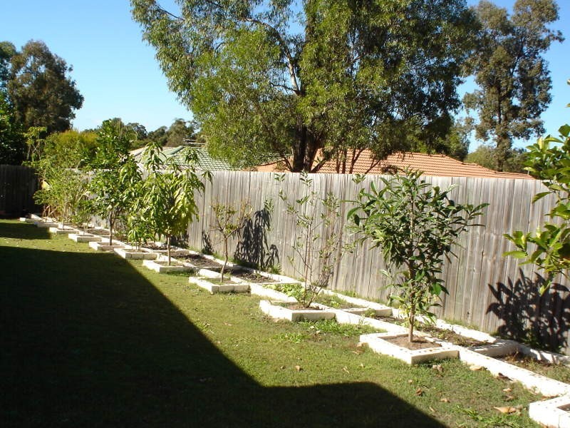 24 Tenterfield Place, Forest Lake QLD 4078