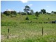 Wolumla NSW 2550