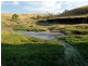 Frogs Hollow NSW 2550