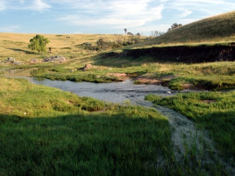 Frogs Hollow NSW 2550