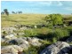 Frogs Hollow NSW 2550