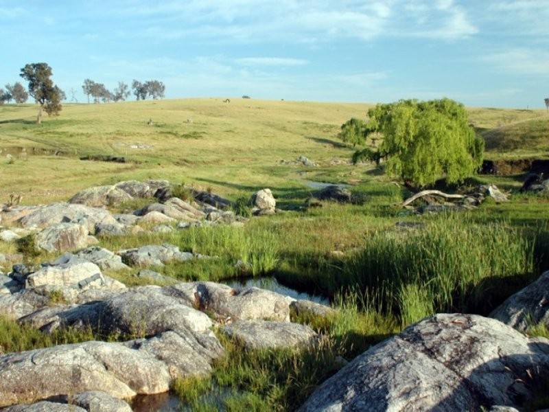 Frogs Hollow NSW 2550