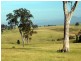 Frogs Hollow NSW 2550