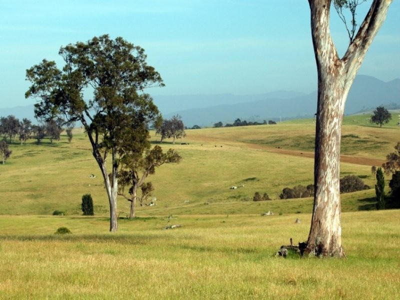 Frogs Hollow NSW 2550