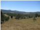 Towamba NSW 2550