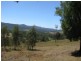 Towamba NSW 2550