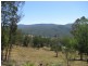 Towamba NSW 2550