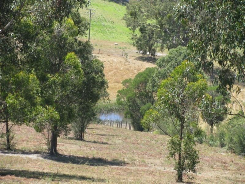 Towamba NSW 2550
