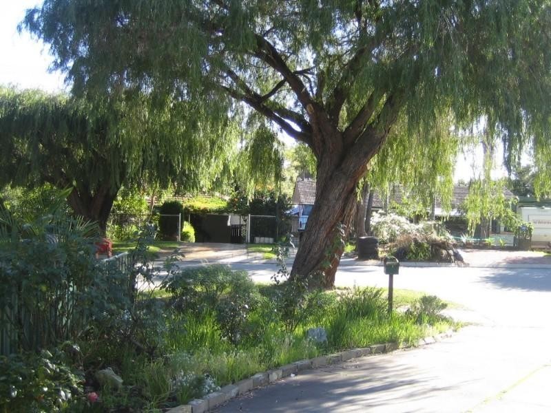 10 Arbon Way, Lockridge WA 6054