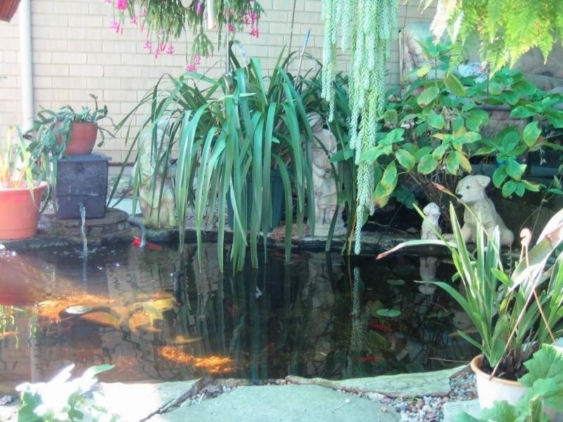 10 Arbon Way, Lockridge WA 6054