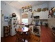 51 Anstey Crescent, Kurralta Park SA 5037
