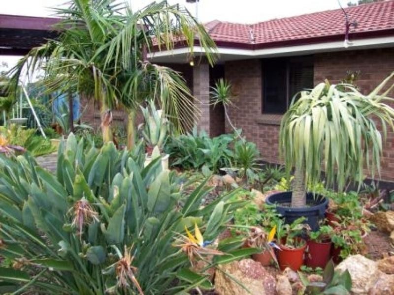 55 Coniston Way, Balga WA 6061