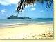 Reid, Wongaling Beach QLD 4852