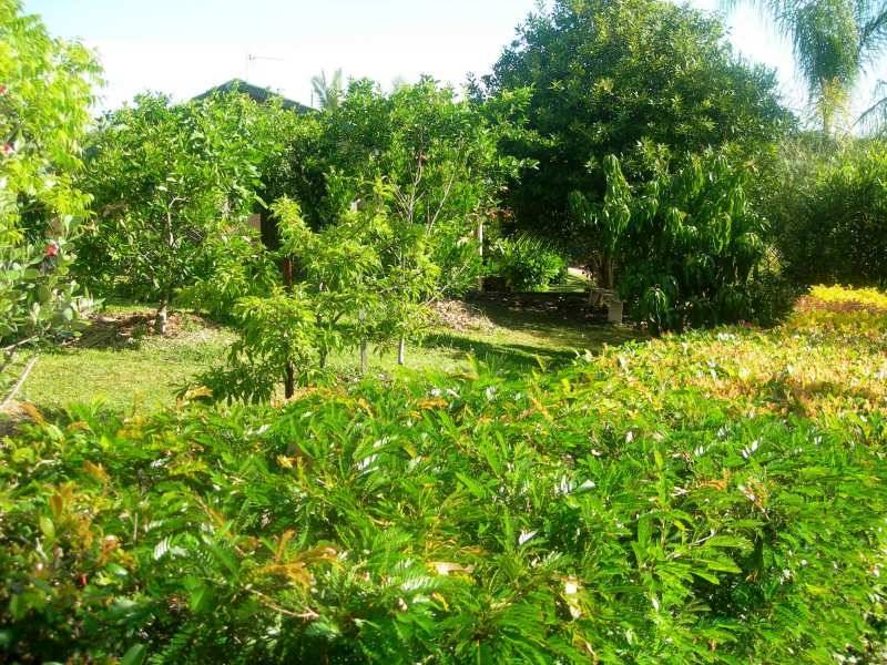 5 Cabernet Court, Buderim QLD 4556