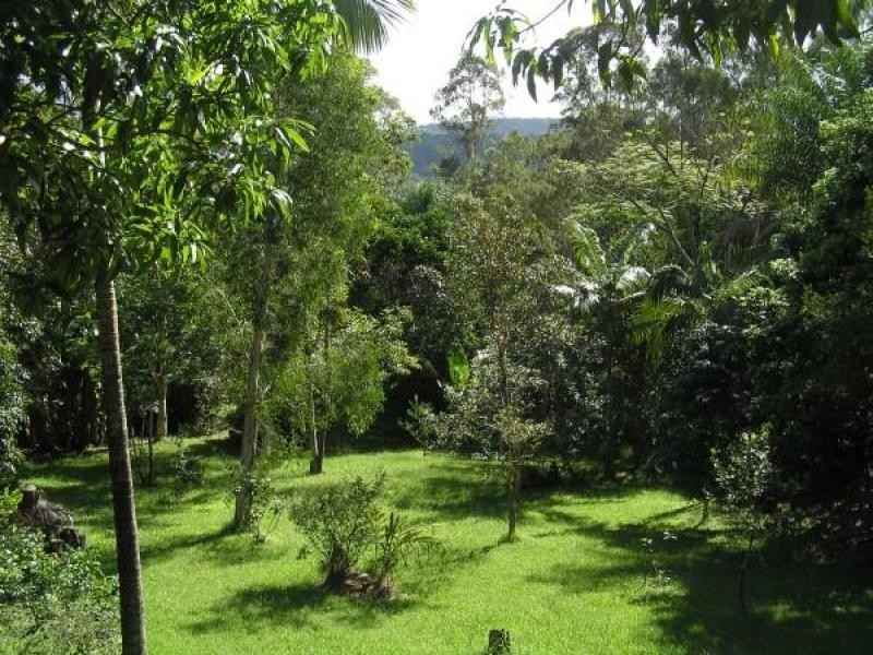 199 Neill Road, Mooloolah Valley QLD 4553