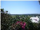 39 Willis Road, Bli Bli QLD 4560