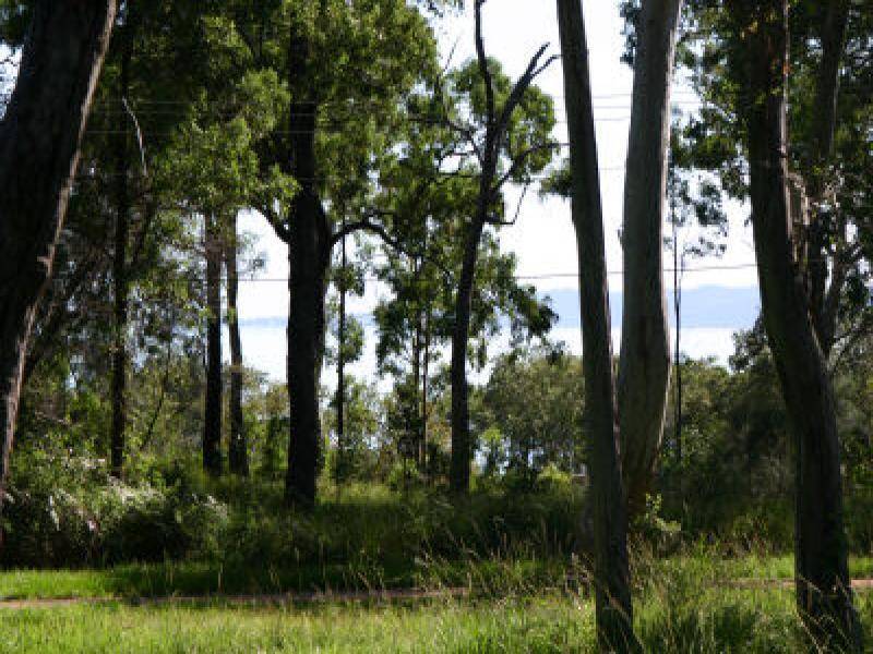 7 Double Bay Street, Macleay Island QLD 4184