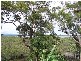 40 Deenya Parade, Russell Island QLD 4184