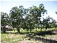 10 Ilya, Macleay Island QLD 4184