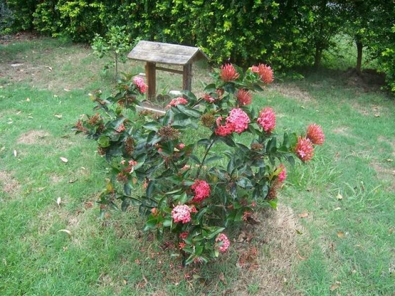 34 Coondooroopa Drive, Macleay Island QLD 4184