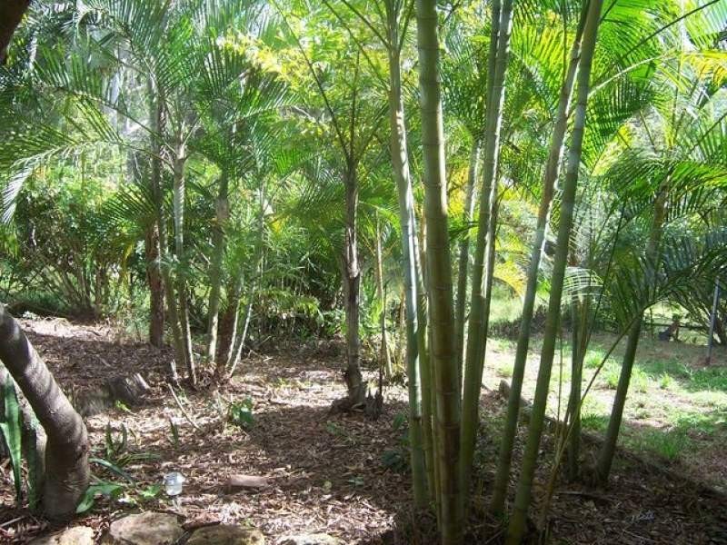 21 Ashton Street, Macleay Island QLD 4184