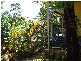 10 Peace Street, Lamb Island QLD 4184