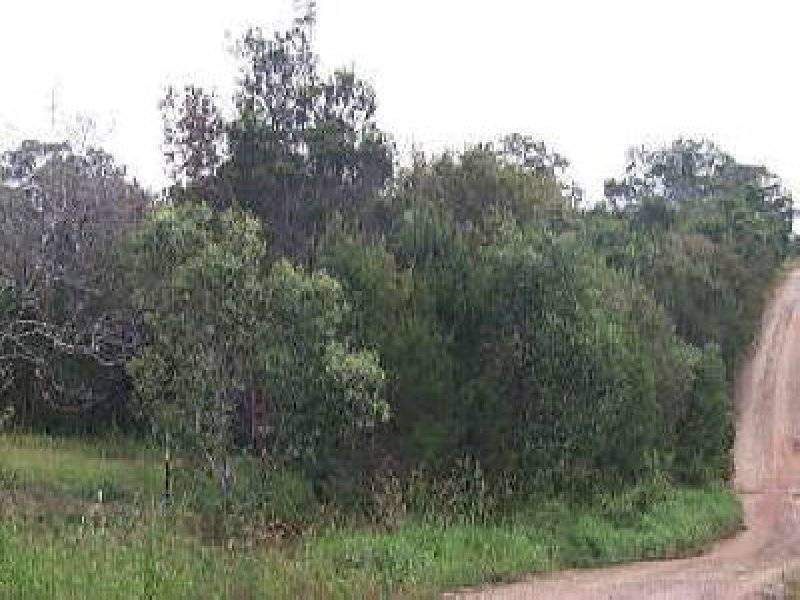 Macleay Island QLD 4184