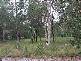 Macleay Island QLD 4184